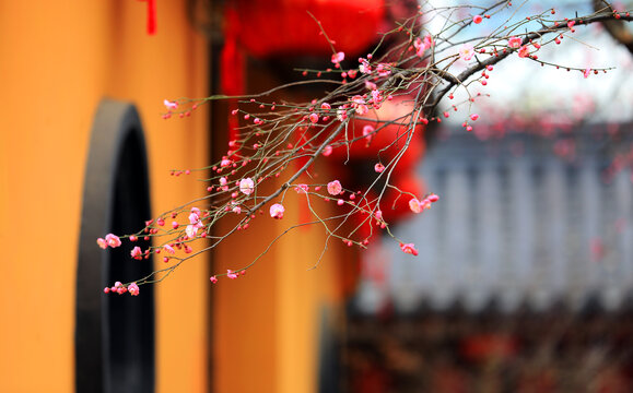 湖州铁佛寺