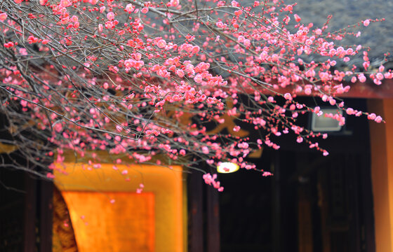 湖州铁佛寺