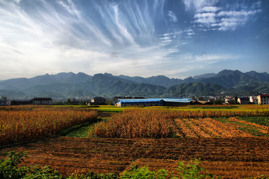 蓝天白云乡村田野