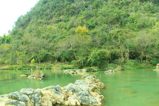 青山绿水