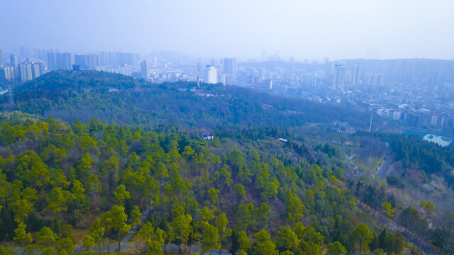 象山公园全景