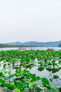 杭州西湖美景