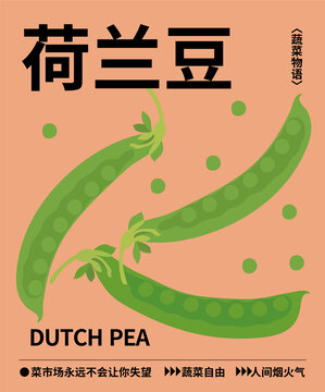 荷兰豆麦豌豆荚豌豆插画包装