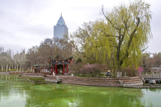 乌鲁木齐人民公园湖边风景