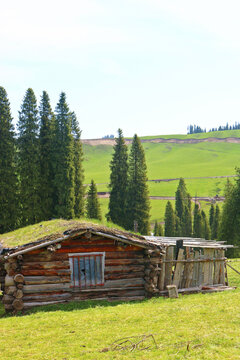 新疆的草原与木屋