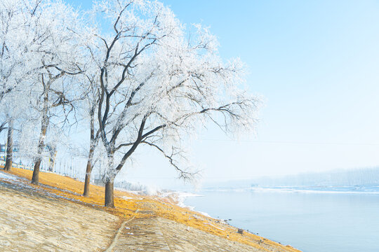 古运河畔雾凇雪景自然风光