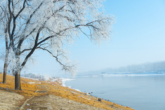 古运河畔雾凇雪景自然风光