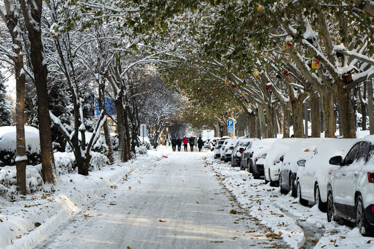 大雪过后的城市街道的行人