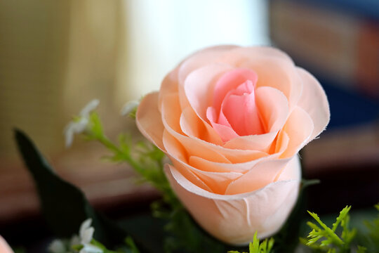 粉色的玫瑰花假花