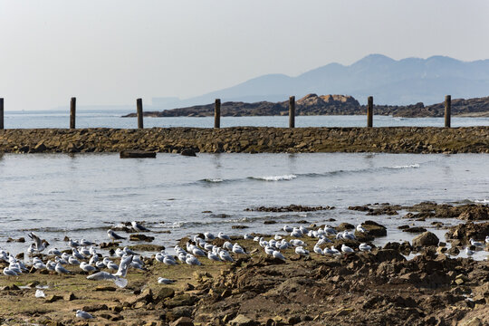 海边风景