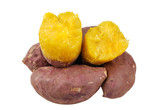 板栗薯