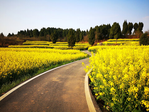 乡村公路