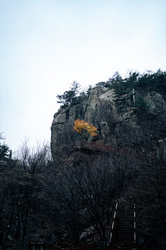 青岛崂山北九水