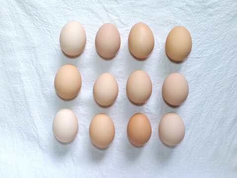 俯视鸡蛋