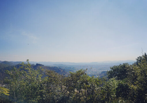 山顶景色