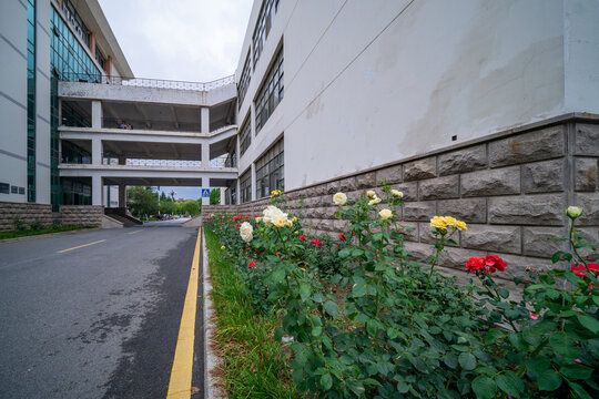 青岛农业大学一角