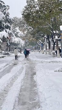 雪天道路