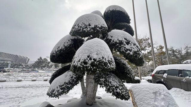 雪景