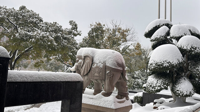 雪景