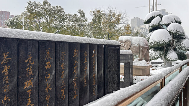 雪景