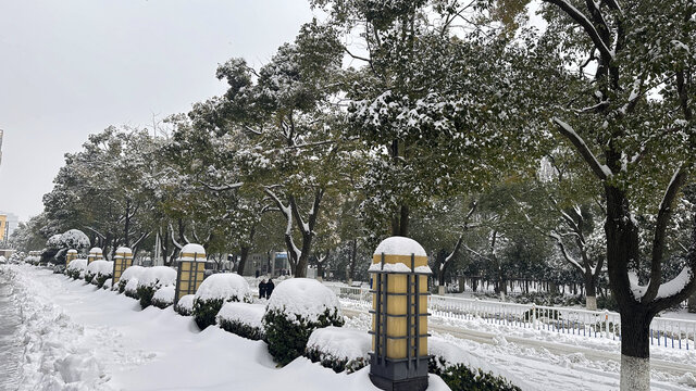 雪景