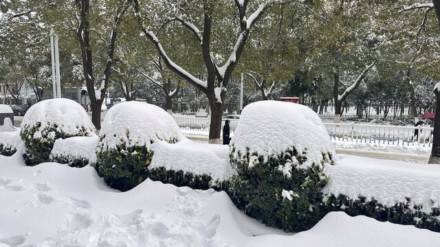 雪景