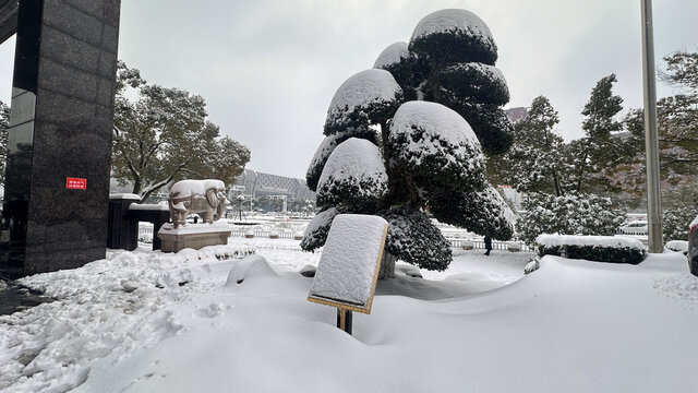 城市雪景