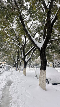 冬日雪景