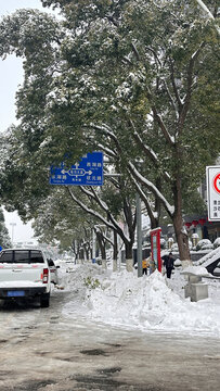 冬天的道路