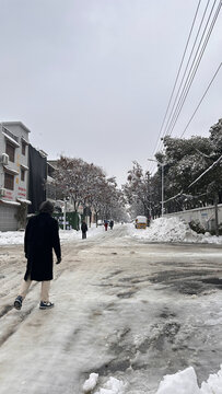 路上雪景