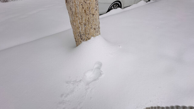 积雪