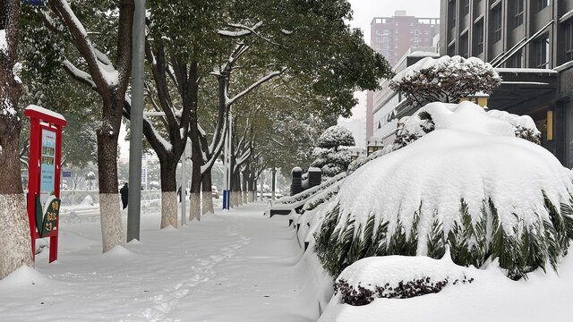 积雪