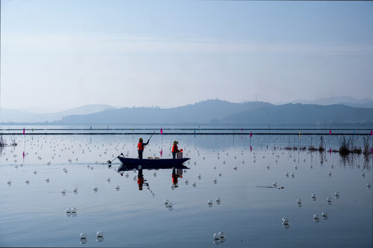 石屏异龙湖风光