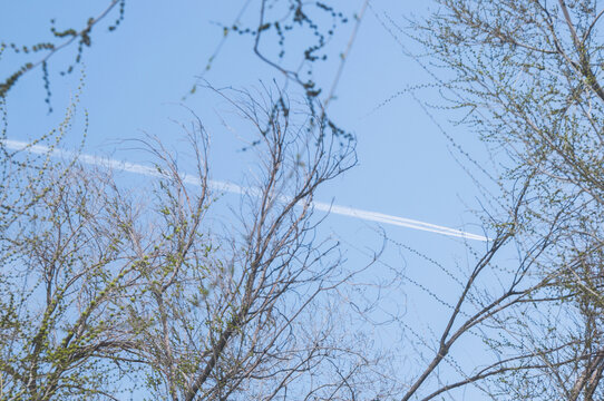 天空树枝飞机轨迹