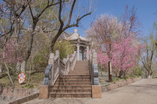 红山公园八角亭园林风景