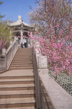 乌鲁木齐红山八角亭