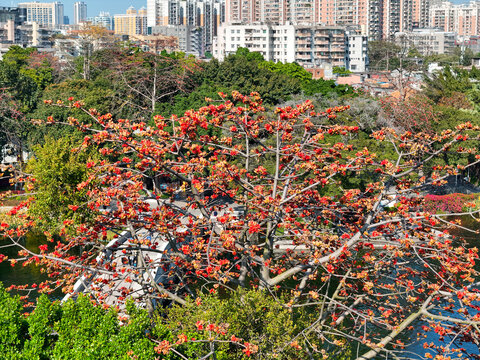 岭南风光