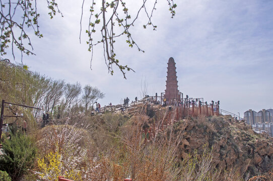 乌鲁木齐红山公园风景