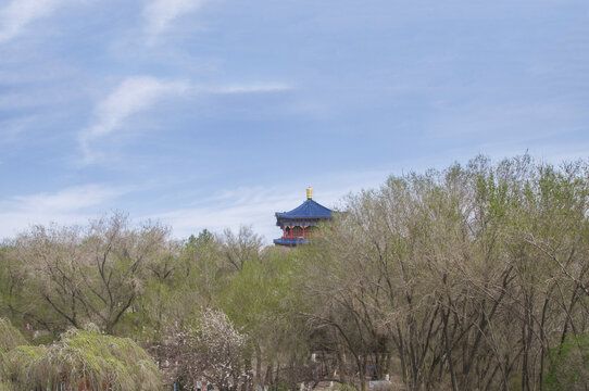 红山公园树林楼阁