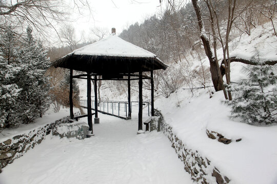 雪后山林