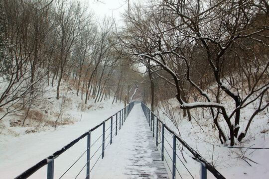 雪后山林