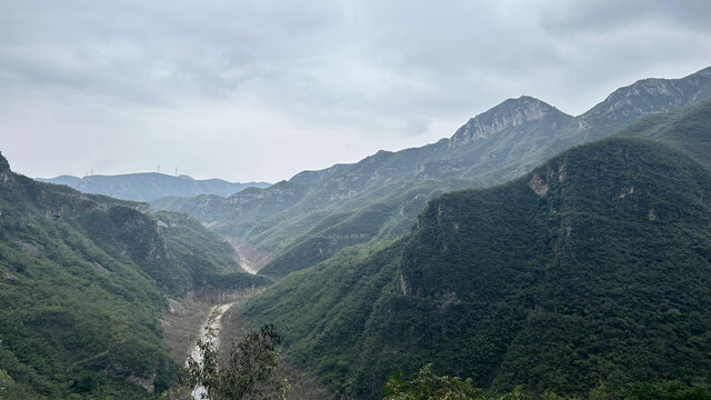 森林高山石头