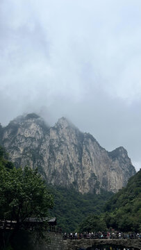 山水风景深林高山