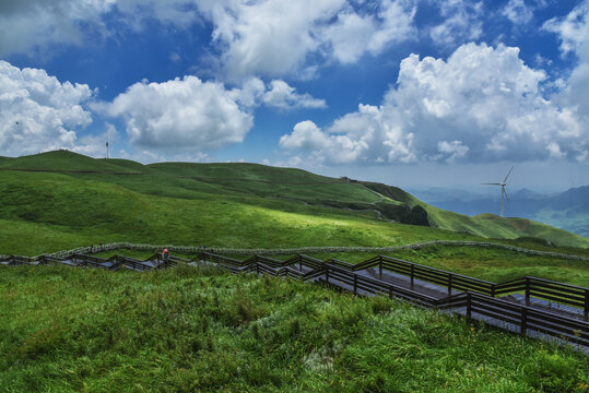 阿西里西大草原风景实拍