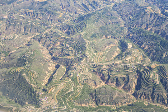 黄土高原荒山绿化