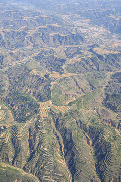 黄土高原荒山绿化