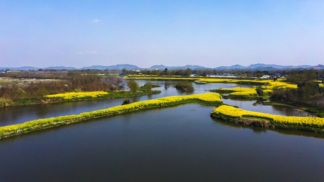 斜江河湿地