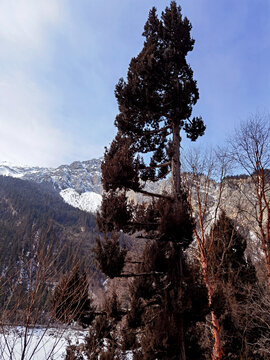 九寨沟冬季景色