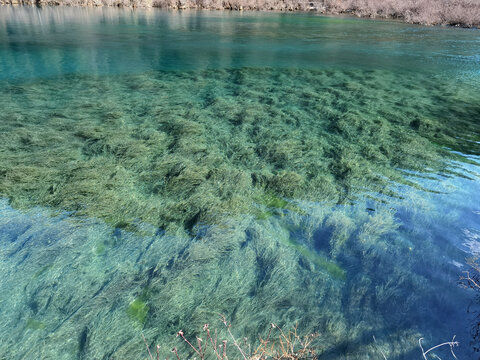 九寨沟的水