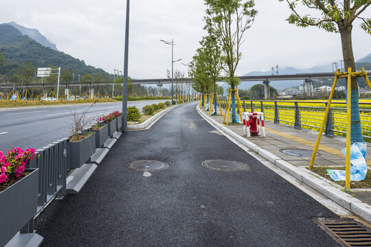 道路绿化美化